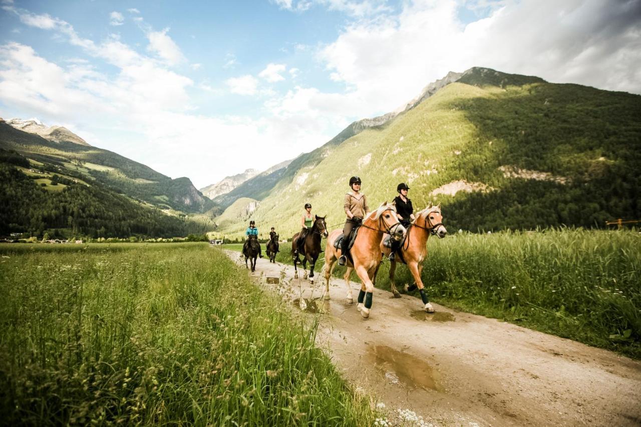 Hotel Fronza - Your Hike & Mountain Home Lutago Extérieur photo