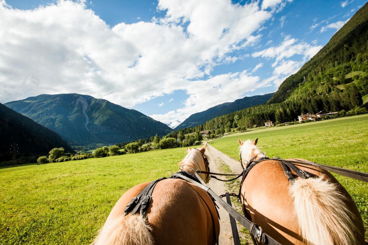 Hotel Fronza - Your Hike & Mountain Home Lutago Extérieur photo